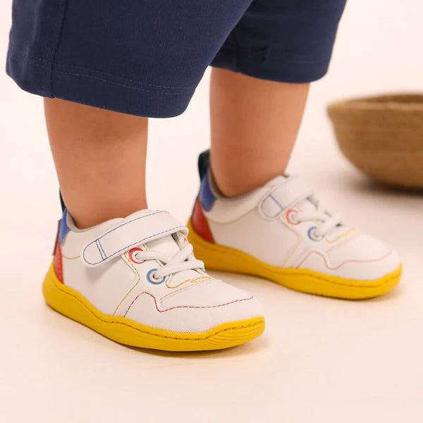 Zapato Feroz Olocau Multicolor